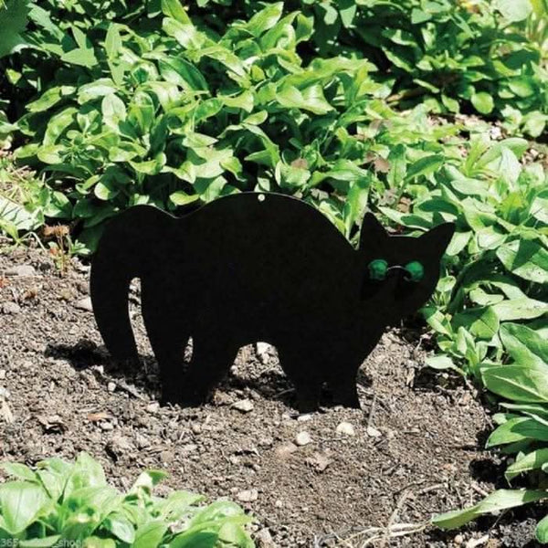 Black silhouette of a bear in a garden setting with green plants