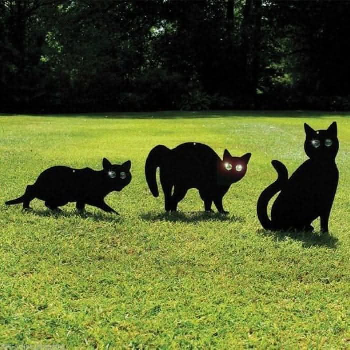 Three black cats on a grassy field with a dark background