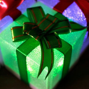 LED parcel garden lights illuminating flower beds