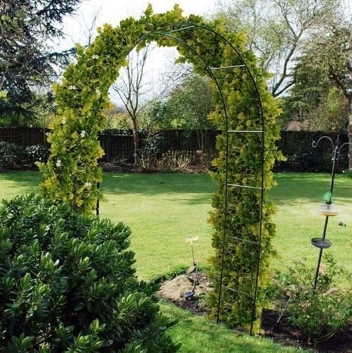 Heavy duty black metal garden archway for climbing plants