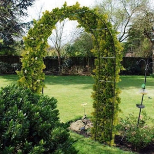 Decorative garden arch for roses and outdoor pathways