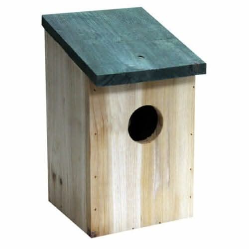 Small garden bird box surrounded by greenery