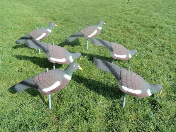 Outdoor pigeon decoys with support sticks