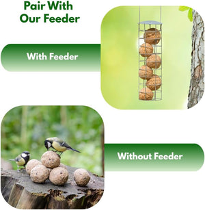 Nutritious suet balls displayed for wild birds.