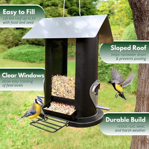 Bird seed feeder with hanging chain and perches.