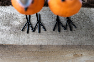 Decorative resin robins for outdoor garden