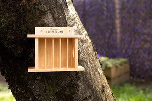 Small bird feeding station hanging in a garden