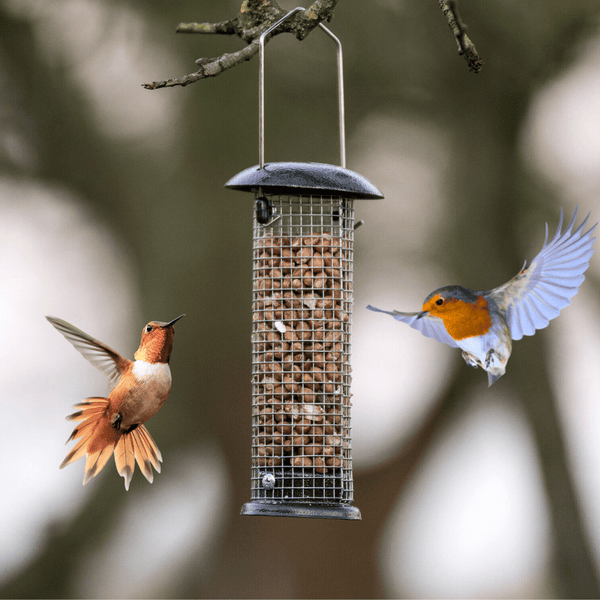Hammertone hanging feeder for feeding garden birds