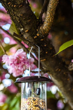 Metal hanging feeder for small garden birds