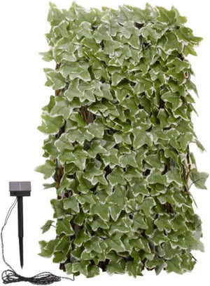 maintenance free ivy trellis privacy panel
