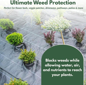 Weed barrier fabric installed around garden plants
