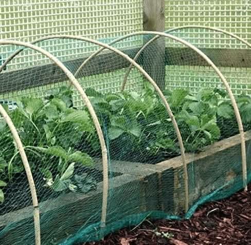 20m² anti bird pond garden protection netting