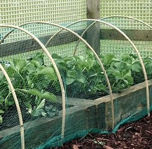 Garden bird protection netting with 25mm mesh holes
