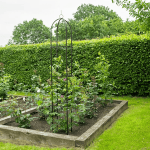 Decorative plant support frame for patio and garden use