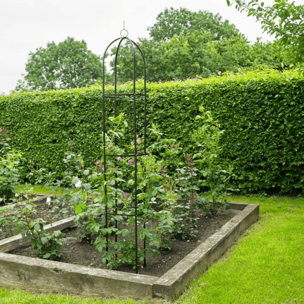 Decorative plant support frame for patio and garden use
