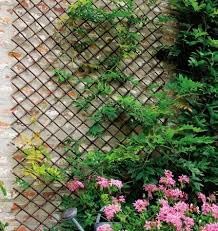 Outdoor wooden plant support trellis