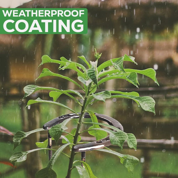 Interlinking plant stakes supporting growing flowers