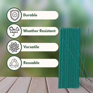 Green bamboo garden supports for seedlings.