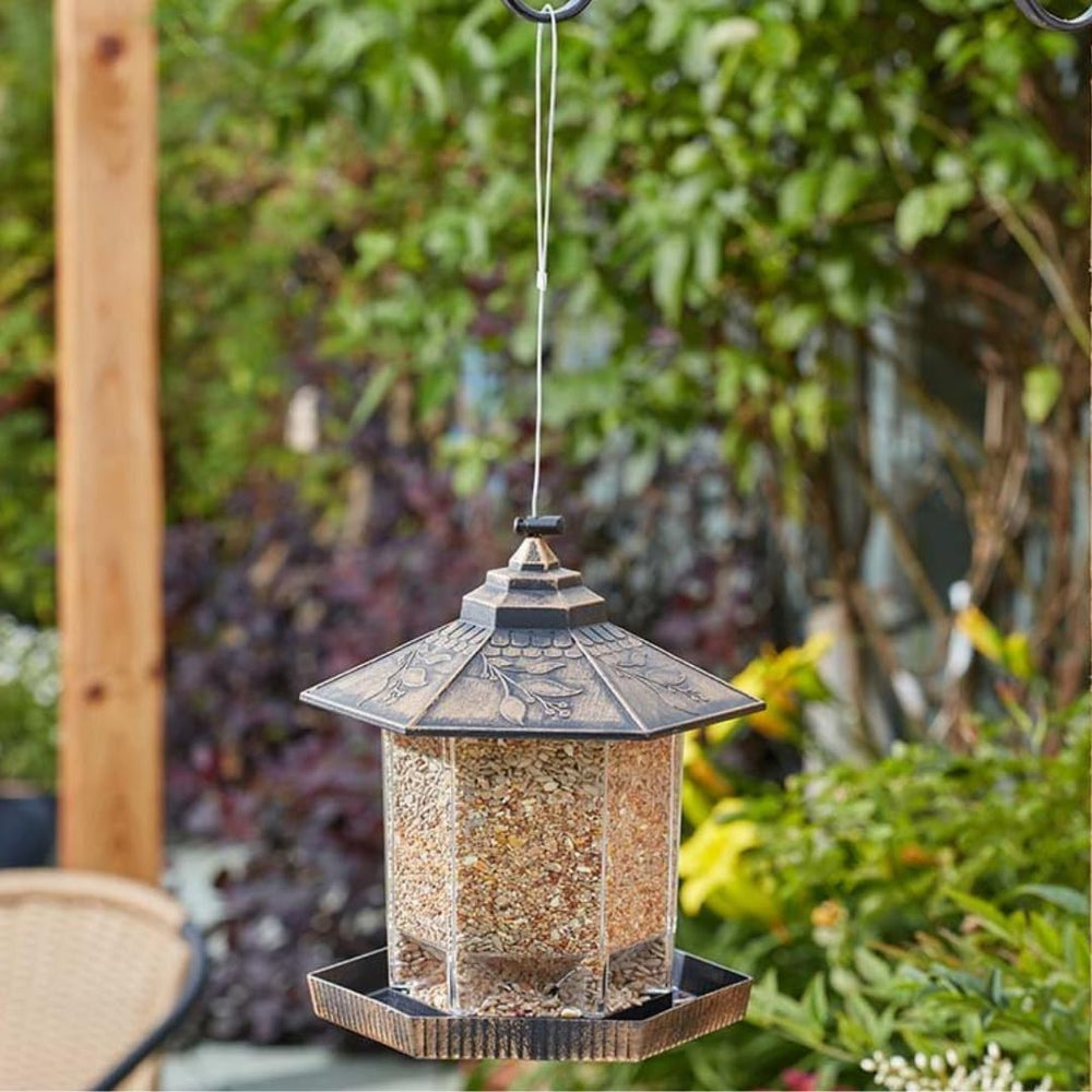 Gazebo hanging bird feeder with transparent seed container
