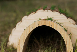 Wooden hedgehog shelter shown from front