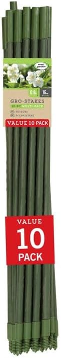 Green plant canes for raised bed gardening