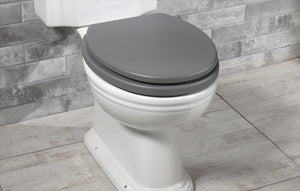 Grey 18 inch oval toilet seat with chrome hinges