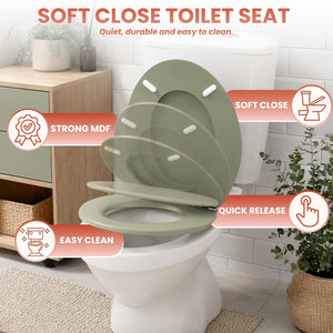 Sage green groove panel toilet seat with chrome hinges
