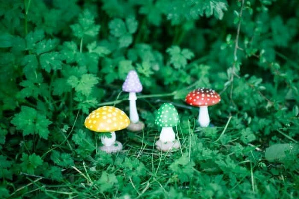Four multicoloured polyresin toadstool garden ornaments