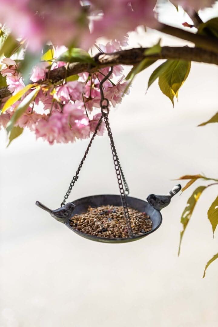 Hanging metal bird bath and seed feeder in garden