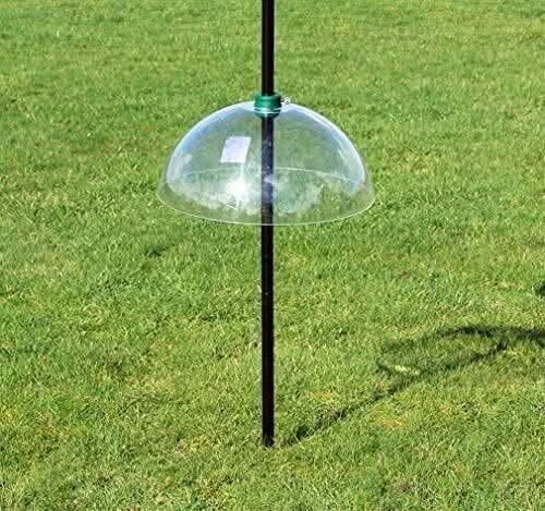Clear squirrel guard positioned above a hanging feeder