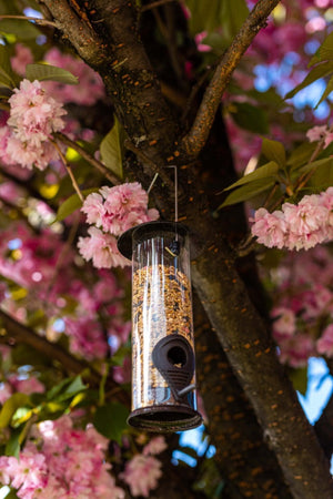 Weather resistant wild bird feeder