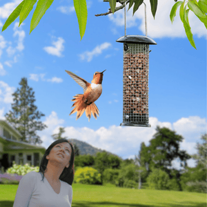 Metal wild bird feeder with shaped feeding base