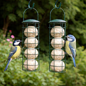 hanging wildlife feeder for garden birds