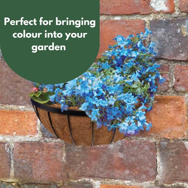 Outdoor wall planter suitable for trailing flowers.