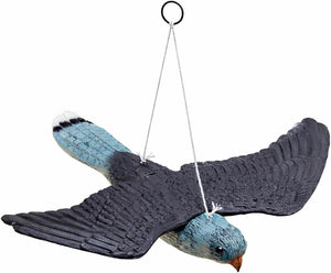 Hanging hawk decoy designed to deter nuisance birds
