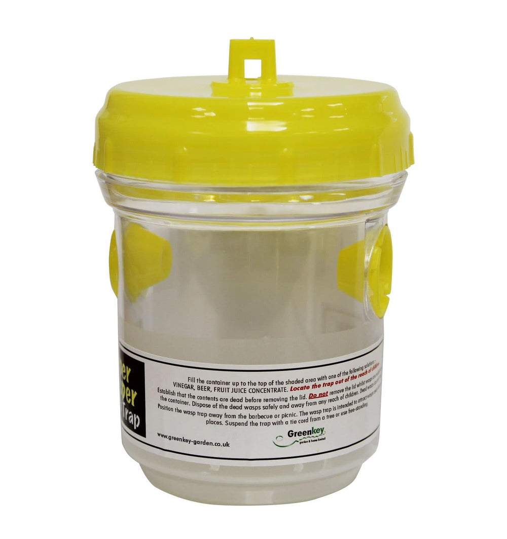 Hanging insect traps for garden and patio use