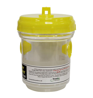 Hanging insect traps for garden and patio use