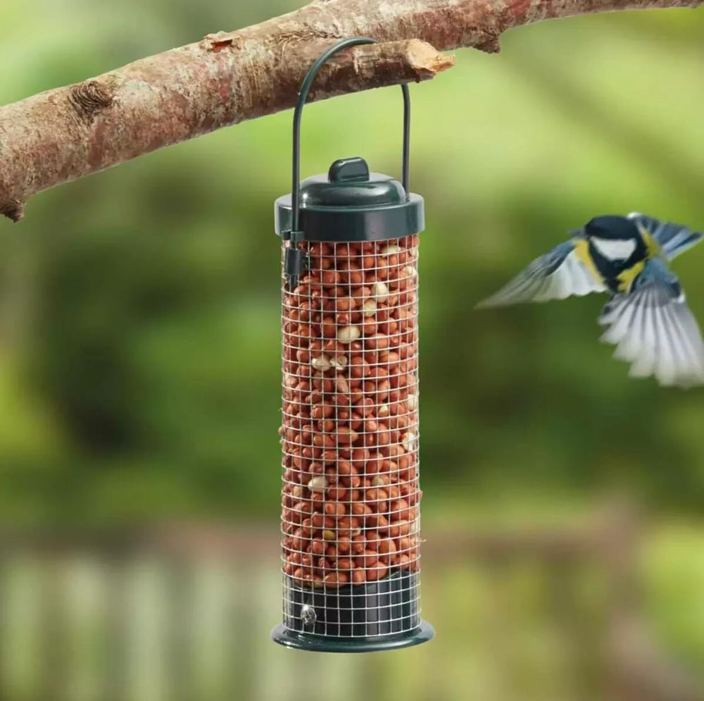 Hanging plastic bird feeder filled with peanuts.