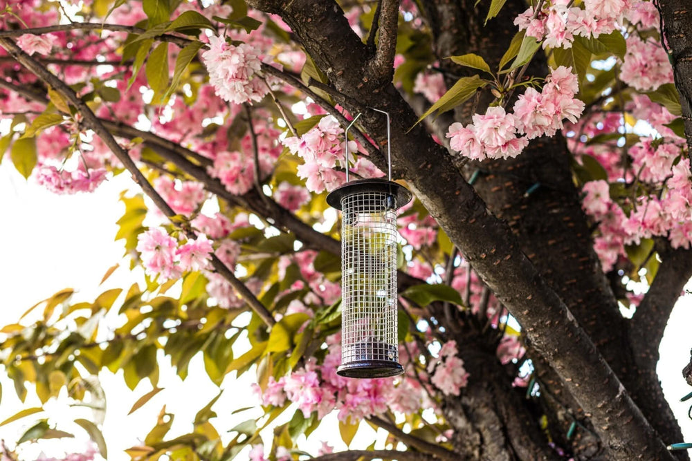 23cm metal hanging nut bird feeder for wild birds