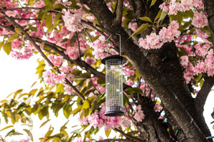 Hammertone garden bird feeder for peanuts and seeds