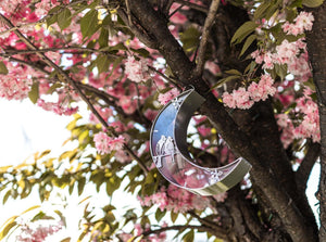 Hanging silver moon garden bird feeder
