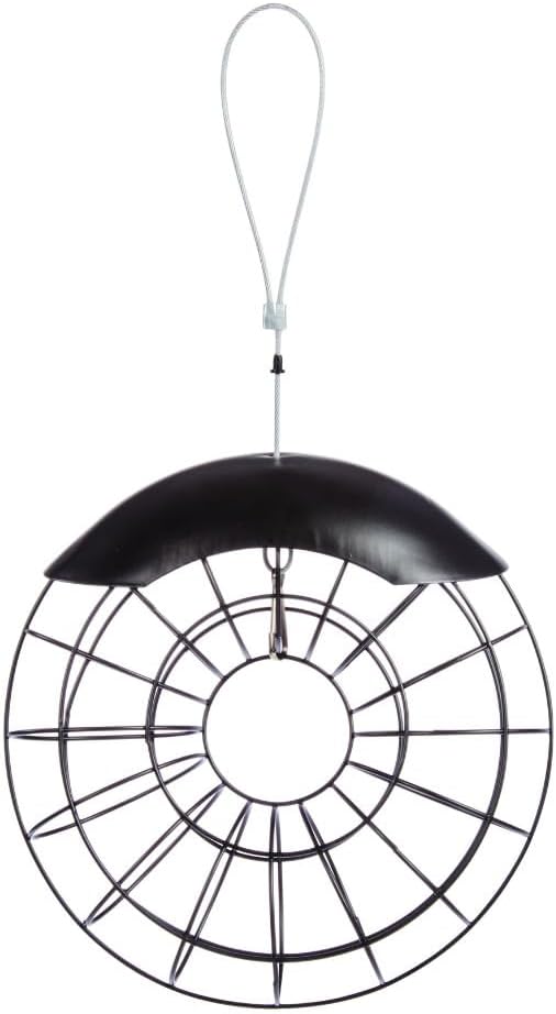 Hanging suet ball bird feeder ring