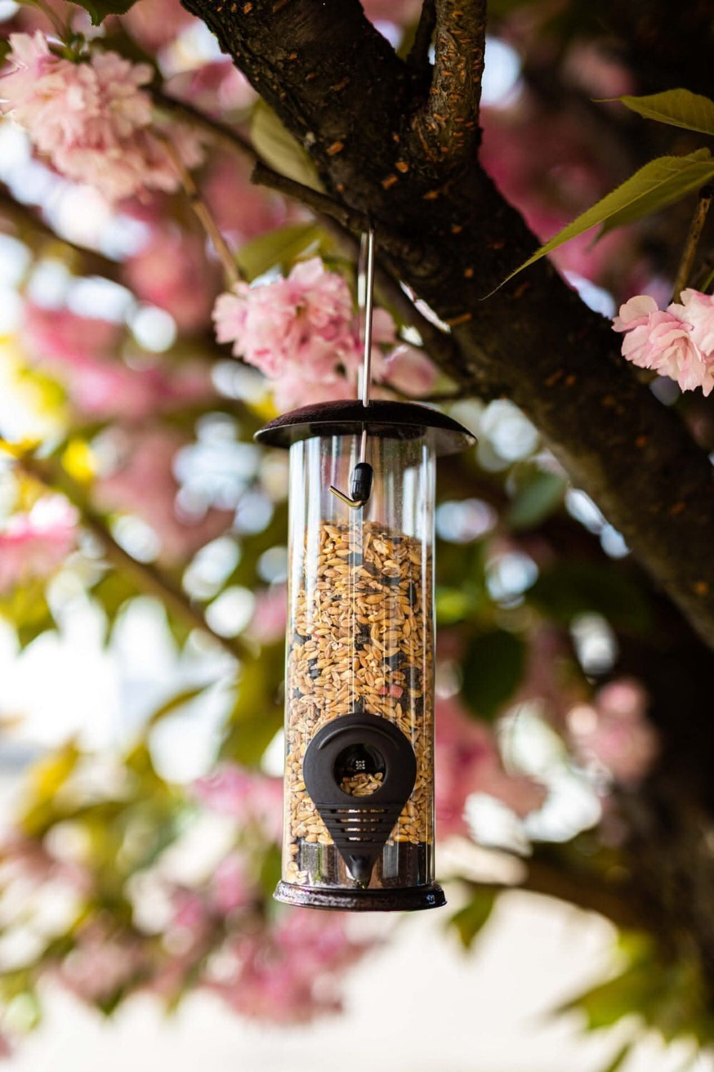 Hanging wild bird seed feeder with hammertone finish