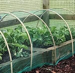 heavy-duty-pond-and-garden-netting-mesh-bird-control