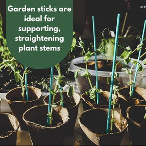 Eco-friendly bamboo garden stakes.