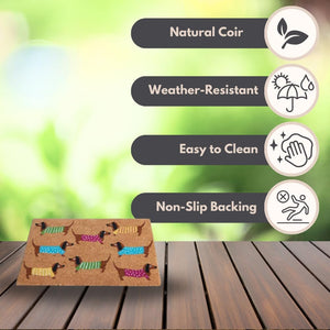Weather-resistant coir mat for front door
