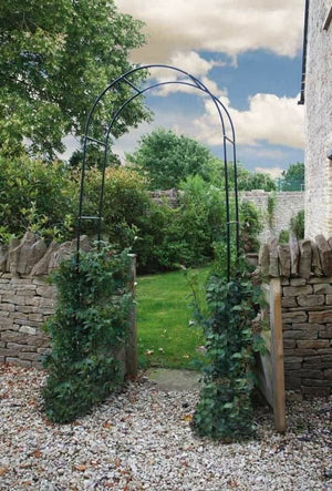 Black metal archway for wedding and garden décor
