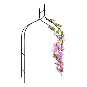 Tall garden arch with climbing plants