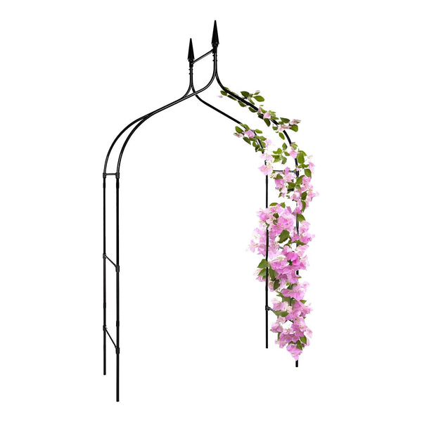 Tall garden arch with climbing plants