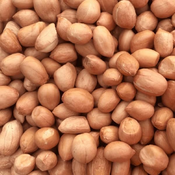 natural peanut bird food for feeding stations